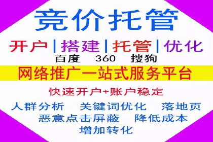 SEM托管公司运营案例精选